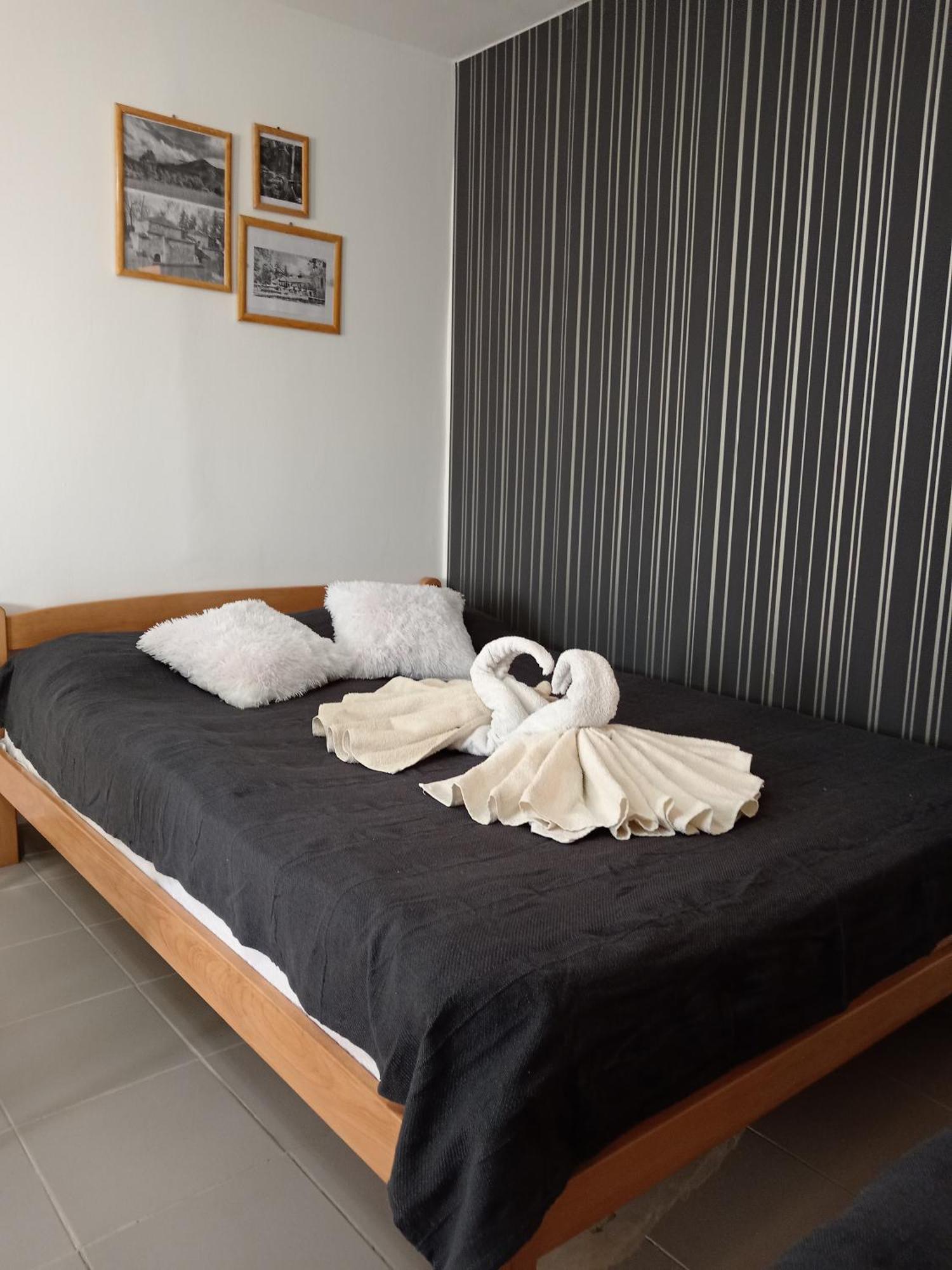 Smestaj Stanisavljevic Soko Banja Room photo